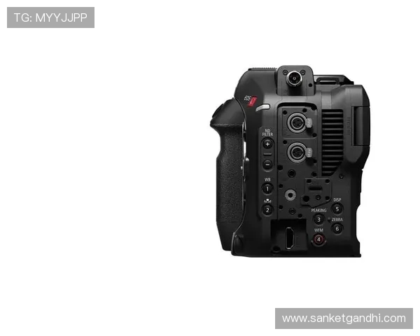 尊龙z6旗舰厅客户端常见问题解决方案与技术支持详细解析